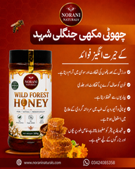 Wild Forest Honey